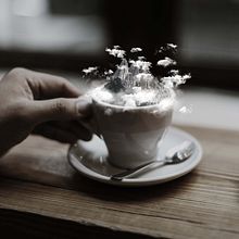 coffe?. Graphic Design, and Photograph project by Gisela Montes Ortega - 11.26.2018