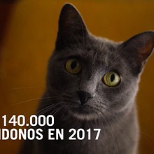Patasbox. Photograph, Post-production, Advertising, and Video project by Parpado Studio - 11.27.2018