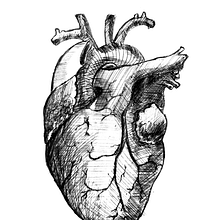 Corazón de la pluma a la pantalla. Sketching, Drawing, and Artistic Drawing project by Erick Padilla - 11.28.2018