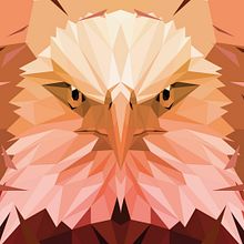 Low Poly animals. Projekt z dziedziny Design, Projektowanie graficzne, Trad, c, jna ilustracja i Grafika wektorowa użytkownika Camilo Romero - 10.07.2017
