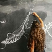Huge Insects. Realistic Drawing project by Fátima Urigüen - 12.03.2018