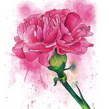 Técnicas Aplicadas en Ilustración en Acuarela - Tarjeta Personalizada. Traditional illustration, Fine Arts, Painting, and Watercolor Painting project by Diana Agudelo - 11.26.2018