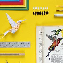 White booted racked tail hummingbird . Un progetto di 3D, Interior design, Character design, Product design, Scenografia e Papercraft di Diana Beltran Herrera - 05.12.2018