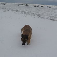 Lo he pasado bien. Traditional illustration project by Belen Parro - 12.26.2018