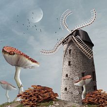 Transformaciones Ein Projekt aus dem Bereich Grafikdesign und Fotoretuschierung von John Fernández - 09.12.2018