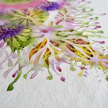 Micromundos en acuarela. Un projet de Beaux Arts de Myriam - 10.12.2018