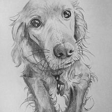 Davis. Un projet de Beaux Arts, Dessin au cra, on, Dessin de portrait, Dessin réaliste , et Aquarelle de Robinsson Calderón Quispe - 11.11.2018