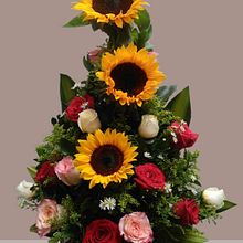 Logo y web floristería André C Ein Projekt aus dem Bereich Design und Webentwicklung von Ramiro López - 16.11.2017