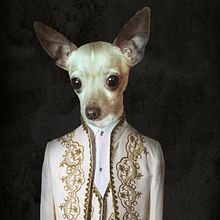 Otto y Ralph. Photograph, Fine-Art Photograph, and Portrait Photograph project by Ana Sanz González - 03.31.2020