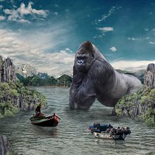 Welcome to the Jungle. Un proyecto de Diseño gráfico, Fotografía, Retoque fotográfico y Animación 2D de Juan Pablo Cardenas - 21.12.2018