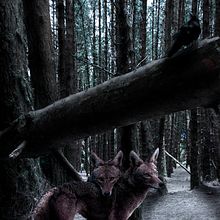 Mi Proyecto del curso: Secretos del fotomontaje y el retoque creativo. Projekt z dziedziny Retuszowanie fotografii użytkownika Johan Sebastián Sánchez Ardila - 30.07.2017