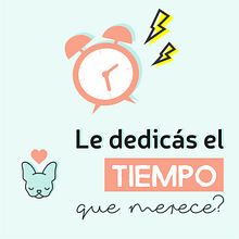 Mi Proyecto del curso: Introducción al marketing digital en Instagram. Un progetto di Design, Graphic design, Stor e telling di Maria Josefina Fardaus - 26.12.2018