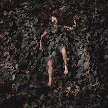 INTO THE WILD. Photograph, and Photo Retouching project by Juan Scaglia - 12.27.2018