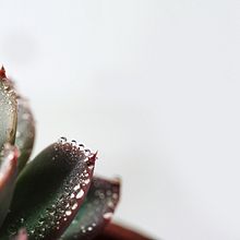 Mi Proyecto del curso: Fotografía profesional para Instagram. Photograph project by Flo Ovalle - 12.28.2018