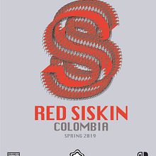 Red Siskin ::: Colombia. Graphic Design project by Diana Arciniegas Cruz - 12.31.2018