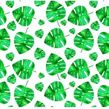 Mi Proyecto del curso: Diseño de estampados textiles-Monstera Deliciosa. Un proyecto de Pattern Design de Rosana Garcia Torrelles - 29.12.2018