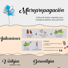 Biotechnology infographic. Infographics, and Traditional illustration project by lashmit Alcalá - 03.08.2017