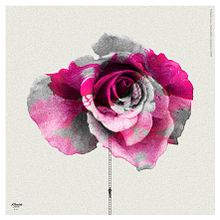 Rose. Concept Art, Art Direction, and Digital Illustration project by Francisco Cacenaves - 12.31.2018