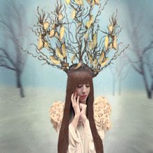 Árbol de invierno. Un proyecto de Bellas Artes, Creatividad, Dirección de arte, Diseño, Diseño de personajes, Fotografía, Fotografía de estudio, Post-producción fotográfica		 y Retoque fotográfico de Jessy Valeska Chacón Ramírez - 31.12.2018