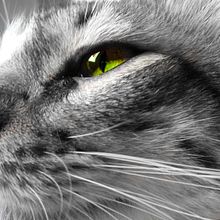 Mr. Mamor. Un proyecto de Creatividad, Dirección de arte, Fotografía y Retoque fotográfico de Jessy Valeska Chacón Ramírez - 01.01.2019