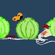 Agrotóxicos, del campo a tu casa. Un proyecto de Animación 2D y Diseño de Dannery Jaime - 01.01.2019