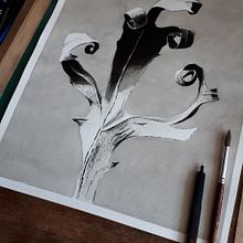 Mi Proyecto del curso: Introducción a la ilustración con tinta china. Projekt z dziedziny Trad, c i jna ilustracja użytkownika caudapodo - 05.01.2019