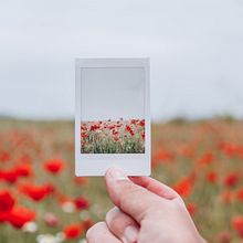 Instantes . Fotografie de Cristina Navarro - 01.08.2019