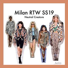 Coloured Leopard  Pre-Fall  2019.  project by sara viñas - 01.13.2019