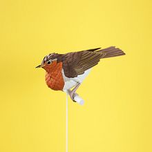 European robin. . Un progetto di Animazione di personaggi, Character design, Fotografia, Fotografia di prodotti e Papercraft di Diana Beltran Herrera - 30.01.2019
