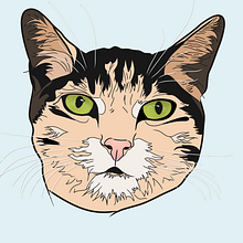 Cat. Traditional illustration, and Vector Illustration project by Anna Garcia Pares - 01.30.2012