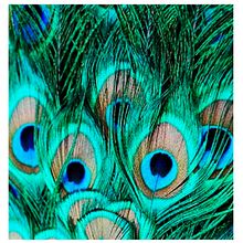 World Tropics SS/2019.  project by sara viñas - 01.15.2019