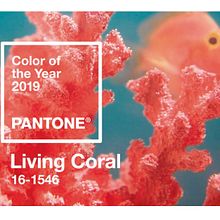 Living Coral SS/2019.  project by sara viñas - 01.15.2019