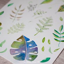 botanik watercolor. Watercolor Painting project by Silvana Ravano - 01.15.2019