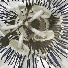Pasionaria: de la enredadera a los almohadones. Un projet de Dessin artistique, Design d'intérieur , et Photographie de Laura Gutiérrez - 05.10.2018