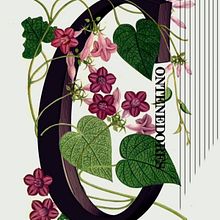 Contenedores. Digital Illustration, and Vector Illustration project by Laura Orcera Perez - 01.18.2019