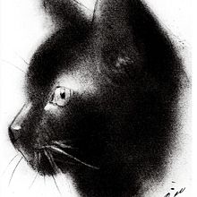Gato con polvo de carbonilla. Drawing project by Sol Martire - 01.20.2019