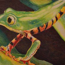 Técnica con creyones de colores. Drawing project by Laura Guevara - 04.20.2016