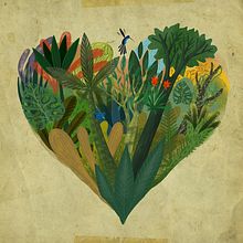 Mashpi Lodge Ein Projekt aus dem Bereich Br, ing und Identität und Traditionelle Illustration von Alberto Montt - 20.01.2019