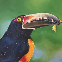 Tucán / pintura . Fine Arts, Concept Art, Creativit, and Painting project by Patricia Pagnucco - 11.30.2018