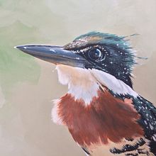 Martín Pescador Verde / Pintura. Fine Arts, Concept Art, Creativit, and Painting project by Patricia Pagnucco - 11.20.2018