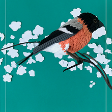 CAMACHUELO COMÚN. Un proyecto de Papercraft de Maria Restrepo - 22.01.2019