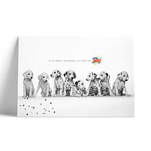 Ariel. Proyecto ficticio. . % sarabarahona tarafından hazırlanan Grafik Tasarım, Ve Reklamcılık projesi - 01.24.2019