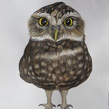 Wildlife. Ilustração tradicional projeto de sara gayol - 28.01.2019