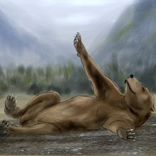 Ejercicio de fotoreferencia. Un proyecto de Ilustración digital de nobebocafe - 30.01.2019