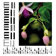 QWEï QWEï . Fine Arts, Graphic Design, and Photograph project by Mar Kaur - 01.31.2019