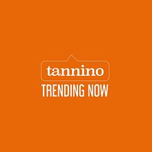 Tendencia / Tannino. Animação, Animação 2D, Design de automóveis, e Motion Graphics projeto de Alexander Roldan - 02.02.2019