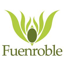 Rebranding Fuenroble. Br, ing & Identit project by Alendro Estudio - 11.01.2012