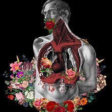 Arreglo floral . Collage, and Digital Illustration project by David Espinosa - 02.06.2019