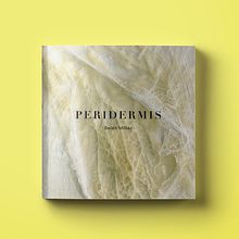 Catálogo Peridermis . Un proyecto de Bellas Artes, Concept Art, Creatividad, Dirección de arte, Diseño, Diseño editorial, Diseño gráfico y Pintura de Beatriz g.m - 05.02.2019