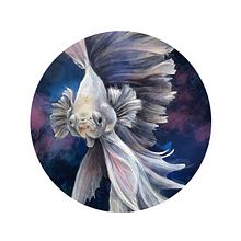 Animalia II. Drawing, and Digital Illustration project by Vir Martín - 12.15.2018